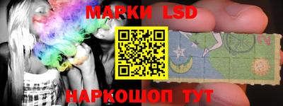 шишки Донской