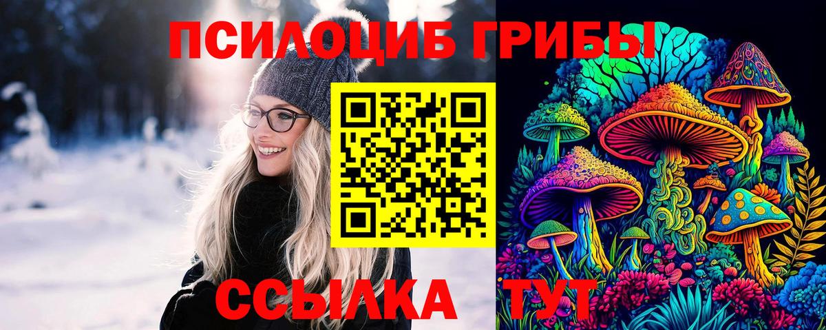дарнет шоп  Псилоцибиновые грибы ЛСД  Вход с VPN  Псилоцибиновые грибы Cubensis  Ликино-Дулёво 