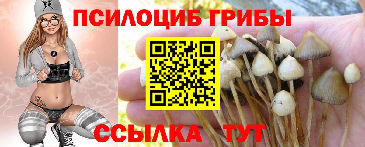Псилоцибиновые грибы прущие грибы Ликино-Дулёво