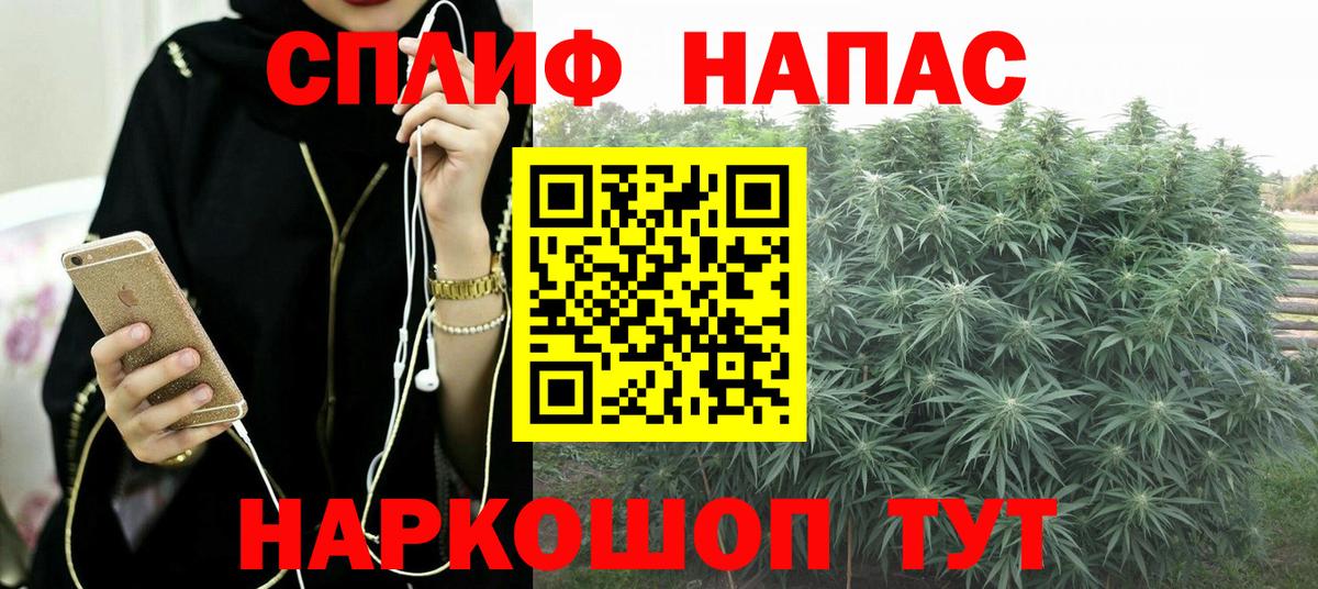 Конопля OG Kush Ликино-Дулёво